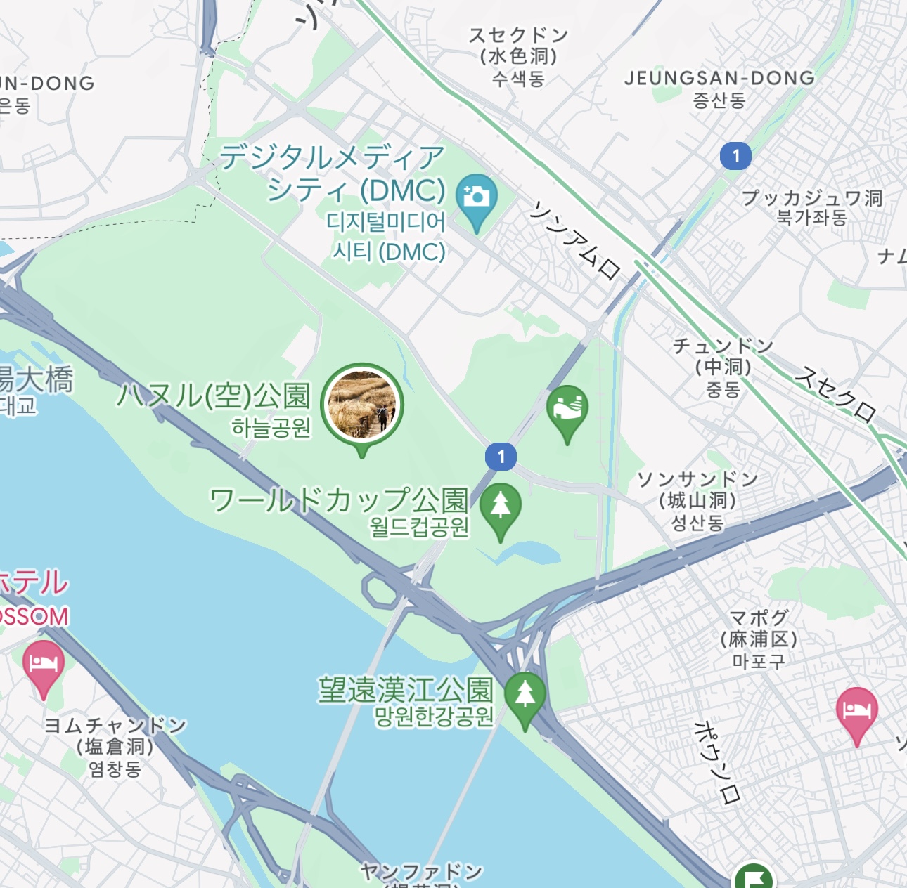 Googleマップ　麻浦区