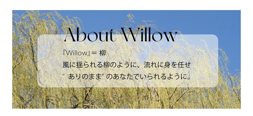 Willowプロジェクト2