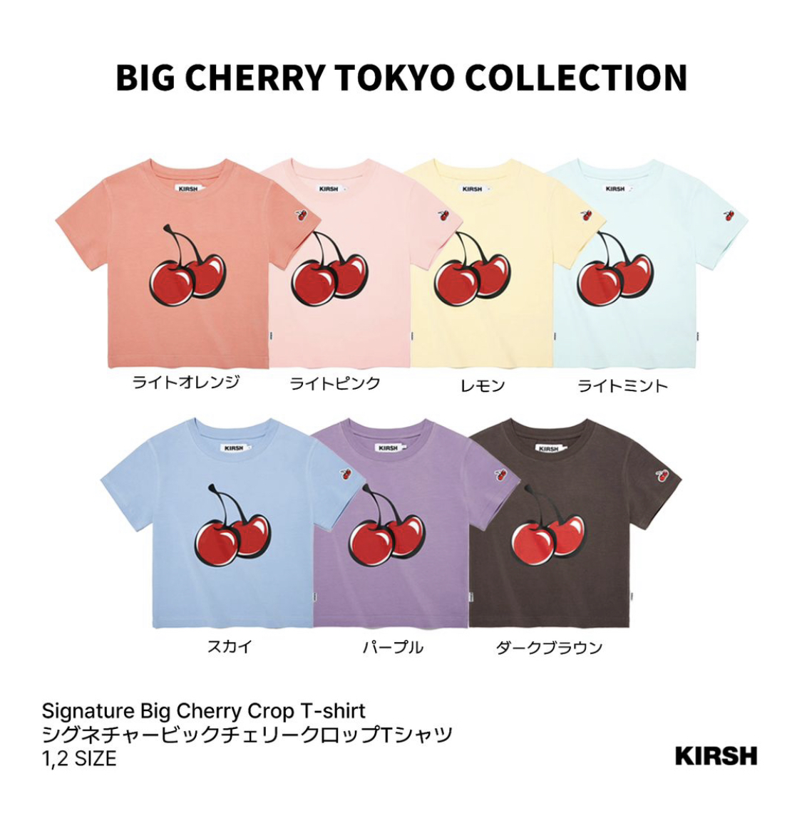 Tシャツ